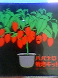 050510_194101.jpg