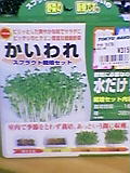 050512_192701.jpg