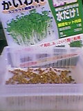 050512_194401.jpg