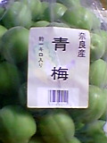 050608_031101.jpg