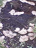 050701_161101.jpg