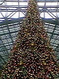 051111_123101.jpg