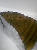 051124_235501.jpg