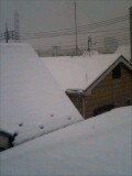 060121_11220001.jpg