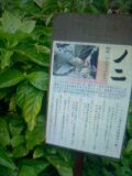 060224_00000001.jpg