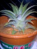 060228_19550001.jpg