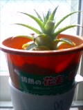 060323_21140001.jpg