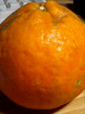 070305_23580001.jpg
