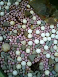 070408_17270001.jpg