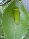 070624_17570001.jpg
