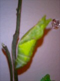 070702_22450001.jpg