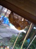 070805_15120001.jpg