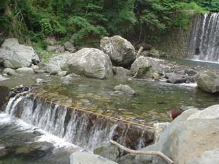 dsc04145
